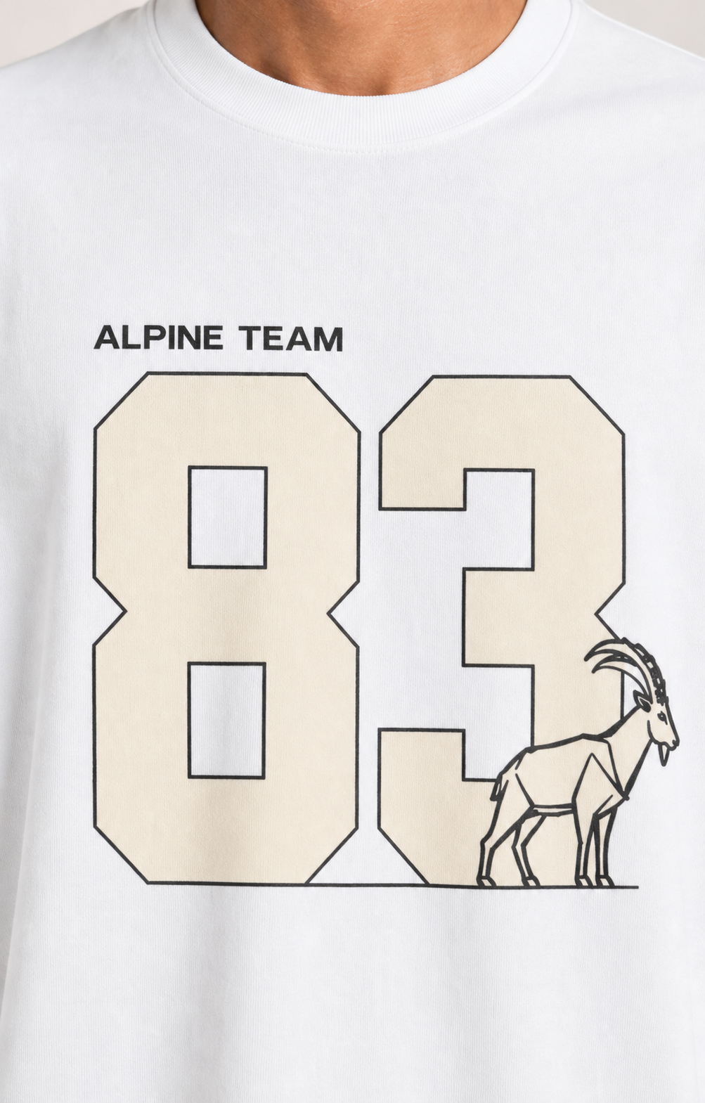 Alpine Team 83 White DTF print close-up